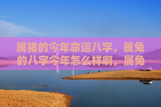 属猪的今年命运八字，属兔的八字今年怎么样啊，属兔的朋友今年运势如何