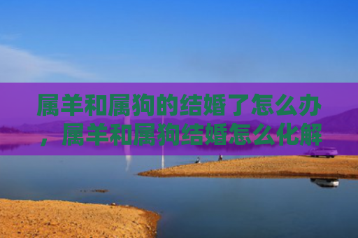 属羊和属狗的结婚了怎么办，属羊和属狗结婚怎么化解