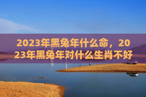 2023年黑兔年什么命，2023年黑兔年对什么生肖不好