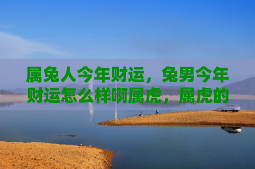 属兔人今年财运，兔男今年财运怎么样啊属虎，属虎的兔男今年的财运