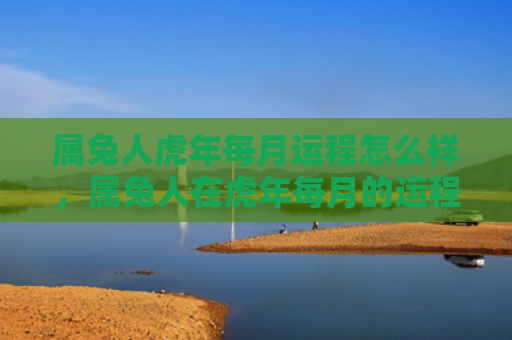 属兔人虎年每月运程怎么样，属兔人在虎年每月的运程情况
