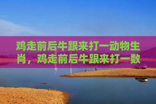 鸡走前后牛跟来打一动物生肖，鸡走前后牛跟来打一数字