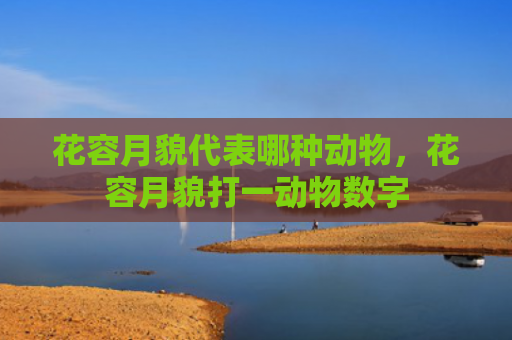 花容月貌代表哪种动物，花容月貌打一动物数字