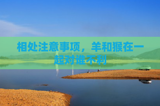 相处注意事项，羊和猴在一起对谁不利