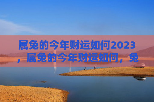 属兔的今年财运如何2023，属兔的今年财运如何，兔子们的财运走势简析