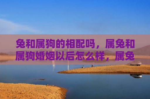 兔和属狗的相配吗，属兔和属狗婚姻以后怎么样，属兔和属狗的婚姻