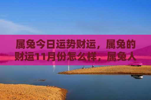 属兔今日运势财运，属兔的财运11月份怎么样，属兔人11月份的财运