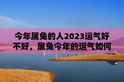 今年属兔的人2023运气好不好，属兔今年的运气如何，属兔的今年运势预测