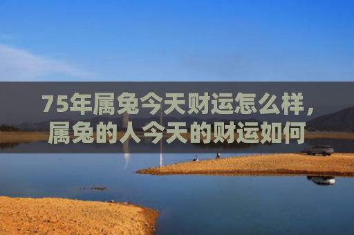 75年属兔今天财运怎么样，属兔的人今天的财运如何