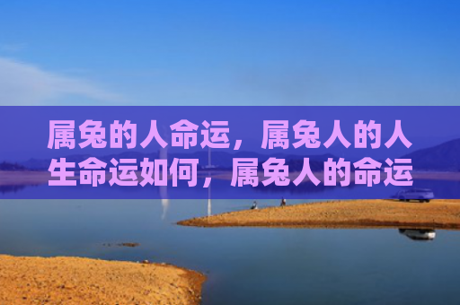 属兔的人命运，属兔人的人生命运如何，属兔人的命运轨迹