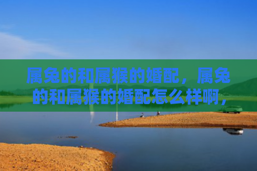 属兔的和属猴的婚配，属兔的和属猴的婚配怎么样啊，兔猴婚配是否适合