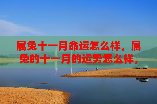 属兔十一月命运怎么样，属兔的十一月的运势怎么样，十一月属兔人的运势分析