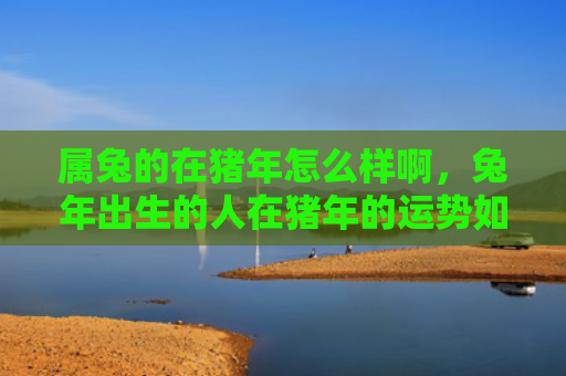 属兔的在猪年怎么样啊，兔年出生的人在猪年的运势如何