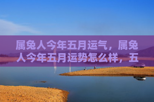 属兔人今年五月运气，属兔人今年五月运势怎么样，五月属兔人运势预测