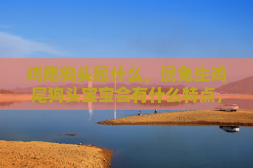 鸡尾狗头属什么，属兔生鸡尾狗头宝宝会有什么特点，属兔生鸡尾狗头宝宝的命运如何