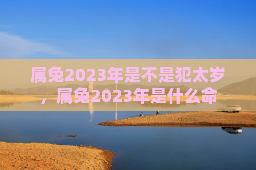 属兔2023年是不是犯太岁，属兔2023年是什么命