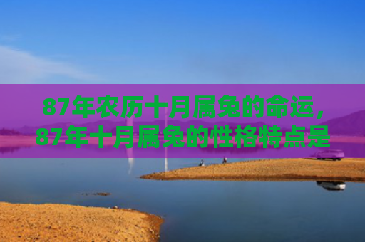 87年农历十月属兔的命运，87年十月属兔的性格特点是什么，87年十月属兔的性格简介