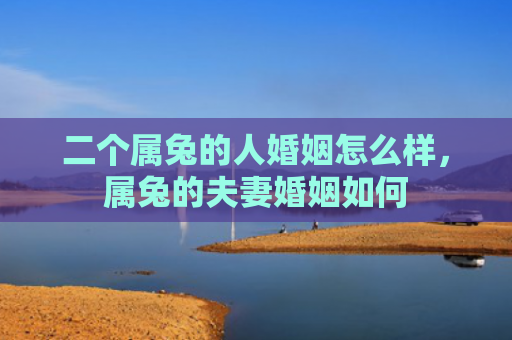 二个属兔的人婚姻怎么样，属兔的夫妻婚姻如何