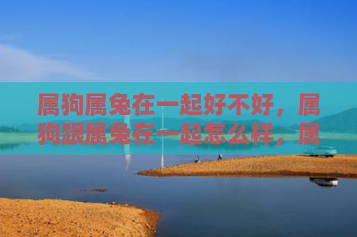 属狗属兔在一起好不好，属狗跟属兔在一起怎么样，属狗和属兔的组合如何