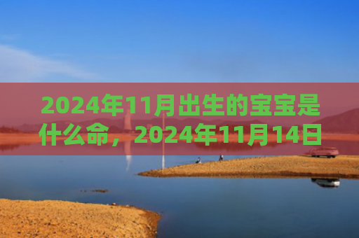 2024年11月出生的宝宝是什么命，2024年11月14日可以结婚吗
