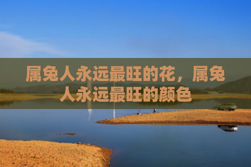属兔人永远最旺的花，属兔人永远最旺的颜色