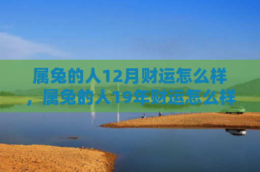 属兔的人12月财运怎么样，属兔的人19年财运怎么样，属兔的人19年财运表现