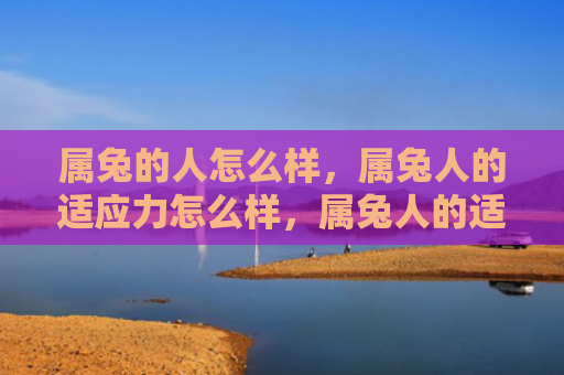 属兔的人怎么样，属兔人的适应力怎么样，属兔人的适应力与性格特点