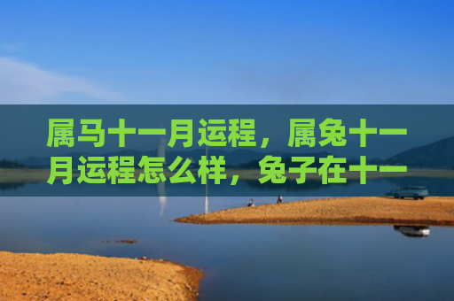 属马十一月运程，属兔十一月运程怎么样，兔子在十一月运程如何