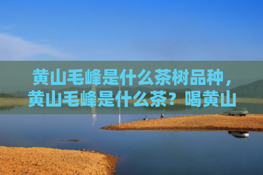 黄山毛峰是什么茶树品种，黄山毛峰是什么茶？喝黄山毛峰对身体有哪些好处？