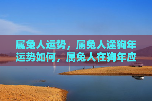 属兔人运势，属兔人逢狗年运势如何，属兔人在狗年应该注意什么