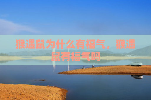 猴遇鼠为什么有福气，猴遇鼠有福气吗