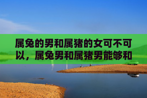 属兔的男和属猪的女可不可以，属兔男和属猪男能够和谐相处吗，属兔男和属猪男的相处之道