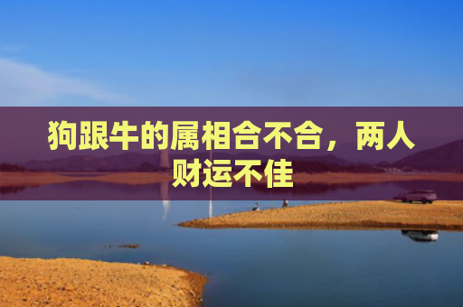 狗跟牛的属相合不合，两人财运不佳