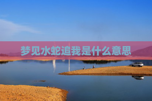 梦见水蛇追我是什么意思