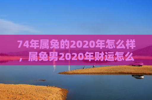 74年属兔的2020年怎么样，属兔男2020年财运怎么样呢，2020年属兔男财运展望