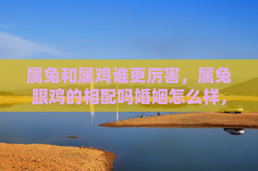 属兔和属鸡谁更厉害，属兔跟鸡的相配吗婚姻怎么样，属兔和鸡可以成为好夫妻吗