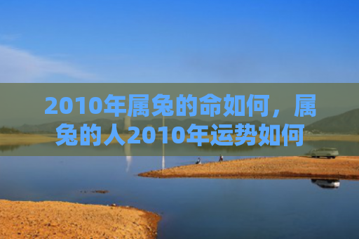 2010年属兔的命如何，属兔的人2010年运势如何
