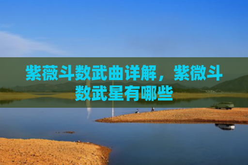 紫薇斗数武曲详解，紫微斗数武星有哪些