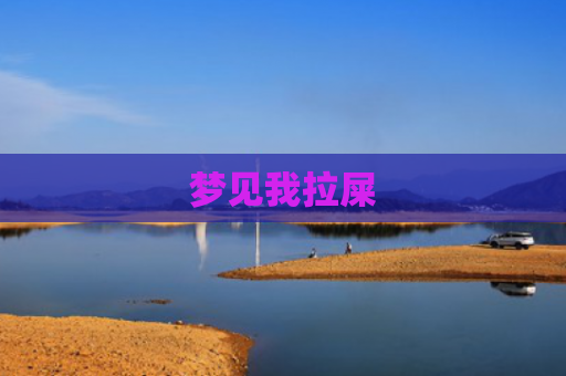 梦见我拉屎