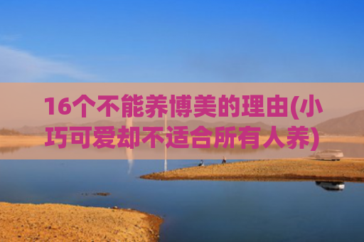 16个不能养博美的理由(小巧可爱却不适合所有人养)