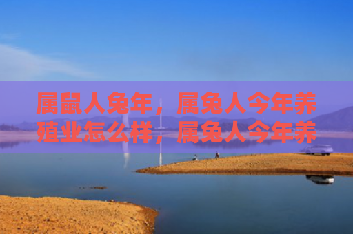 属鼠人兔年，属兔人今年养殖业怎么样，属兔人今年养殖业表现如何