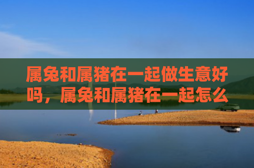 属兔和属猪在一起做生意好吗，属兔和属猪在一起怎么样，属兔与属猪的恋爱幸福指数