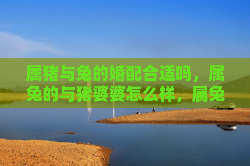 属猪与兔的婚配合适吗，属兔的与猪婆婆怎么样，属兔的与猪婆婆的奇妙缘分