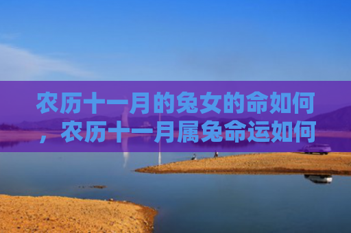 农历十一月的兔女的命如何，农历十一月属兔命运如何，属兔人在农历十一月的命运指南