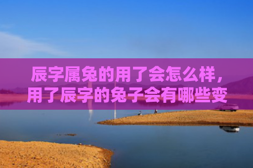 辰字属兔的用了会怎么样，用了辰字的兔子会有哪些变化