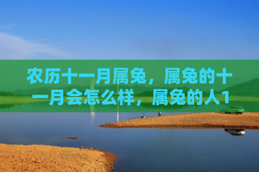 农历十一月属兔，属兔的十一月会怎么样，属兔的人11月的表现