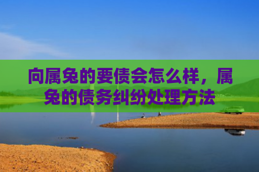 向属兔的要债会怎么样，属兔的债务纠纷处理方法