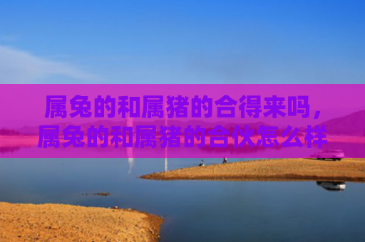 属兔的和属猪的合得来吗，属兔的和属猪的合伙怎么样，属兔的和属猪的合伙成功的秘密