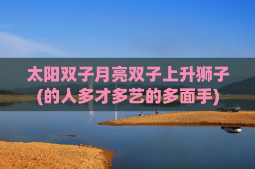 太阳双子月亮双子上升狮子(的人多才多艺的多面手)