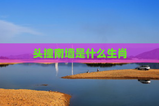 头撞南墙是什么生肖